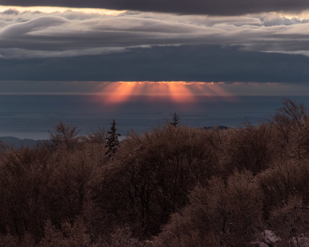 Photograph by Jernej Peljhan