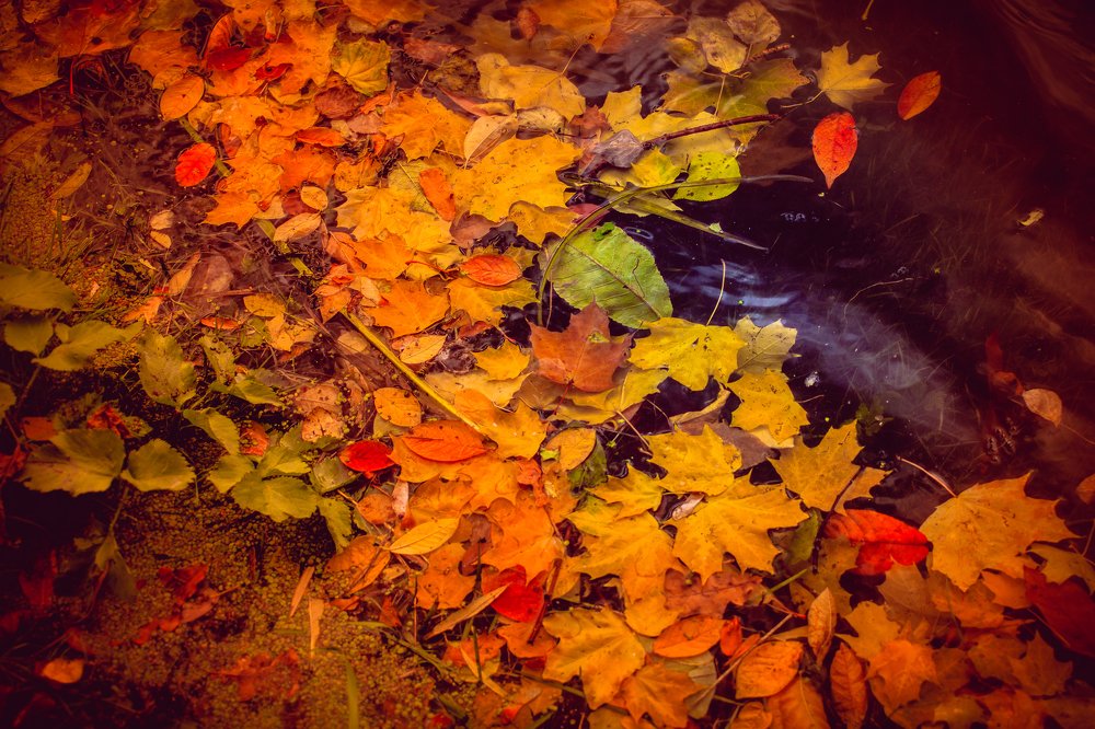 Photograph by Олег Борищенков