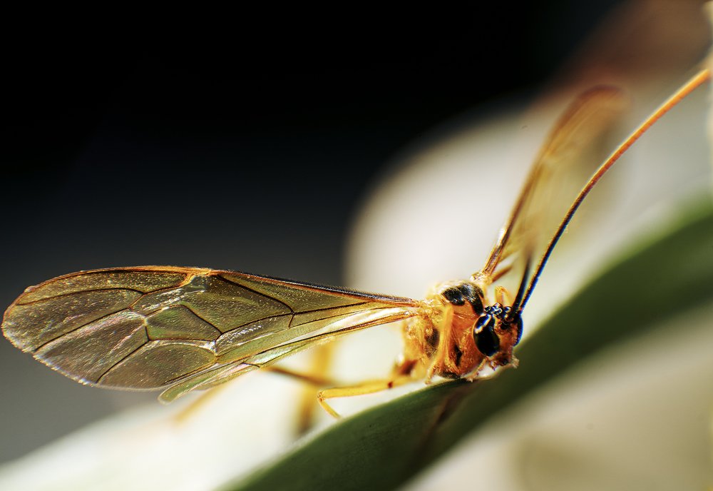 Photograph by Maks Sirman