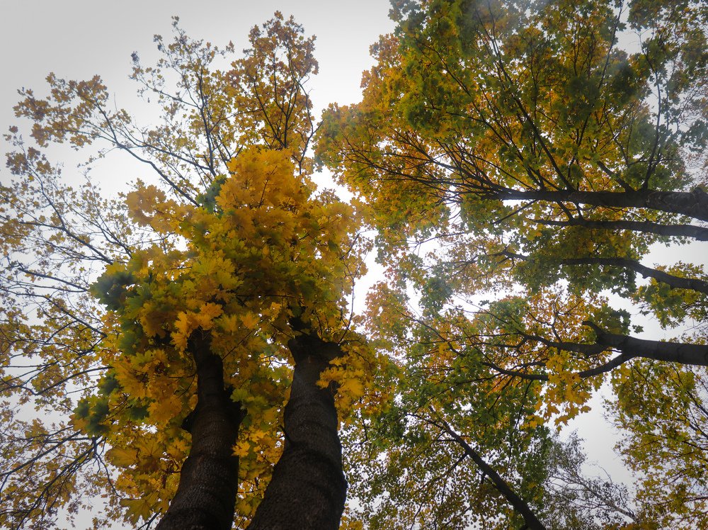 Photograph by Евгений Михеев