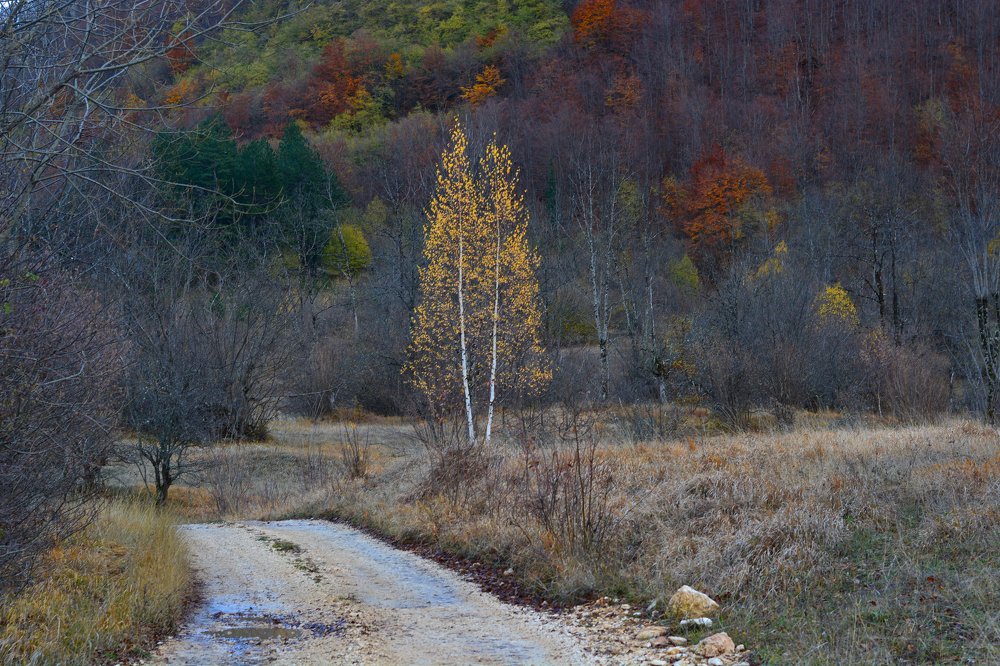 Photograph by Анатолий Орлов