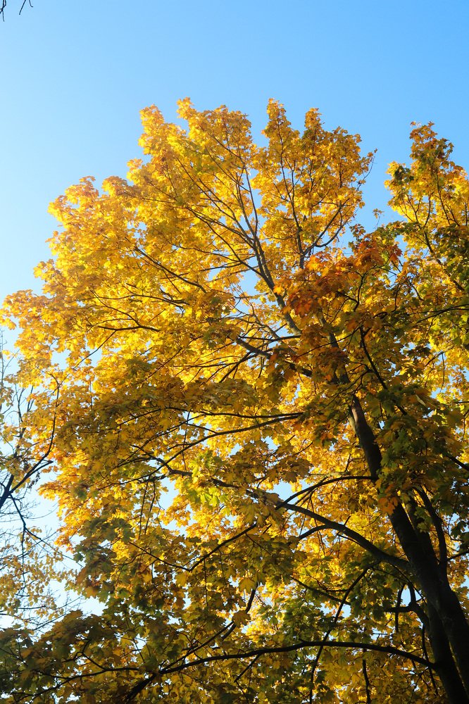 Photograph by Евгений Михеев