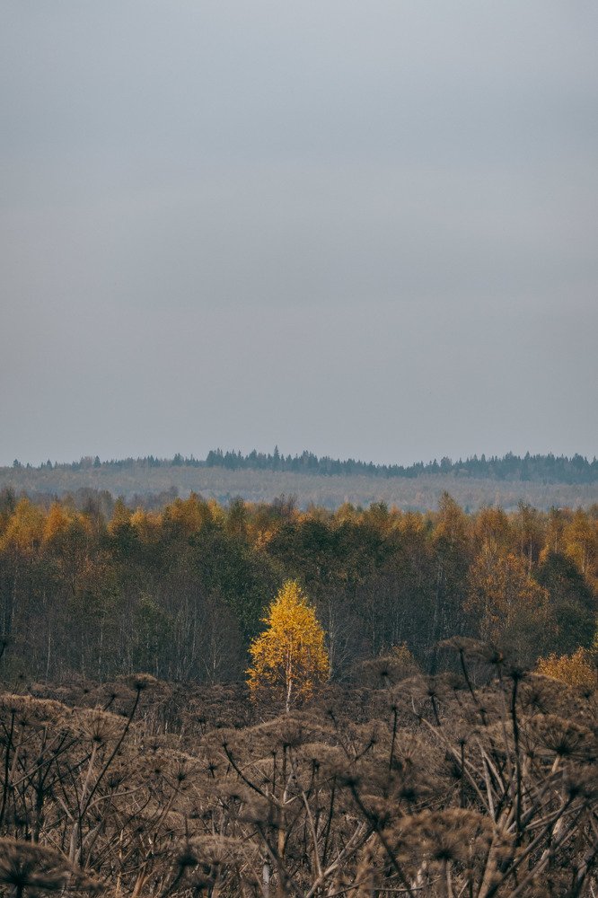 Photograph by Сергей