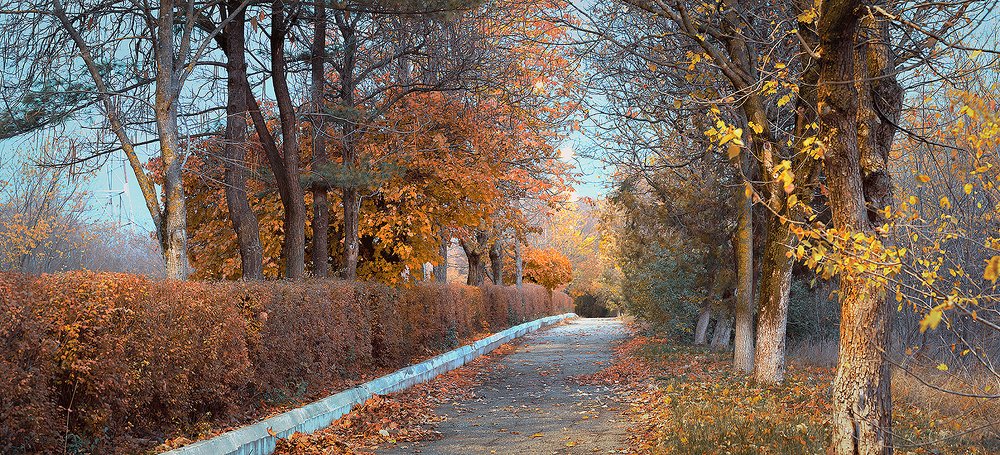 Photograph by Владимир Каюков