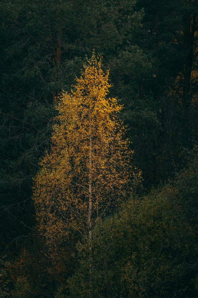 Photograph by Сергей