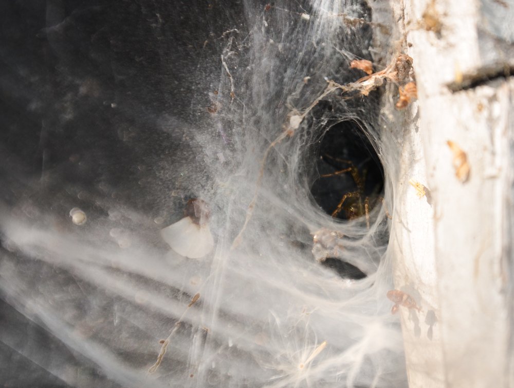 Photograph by Наталия Иванова