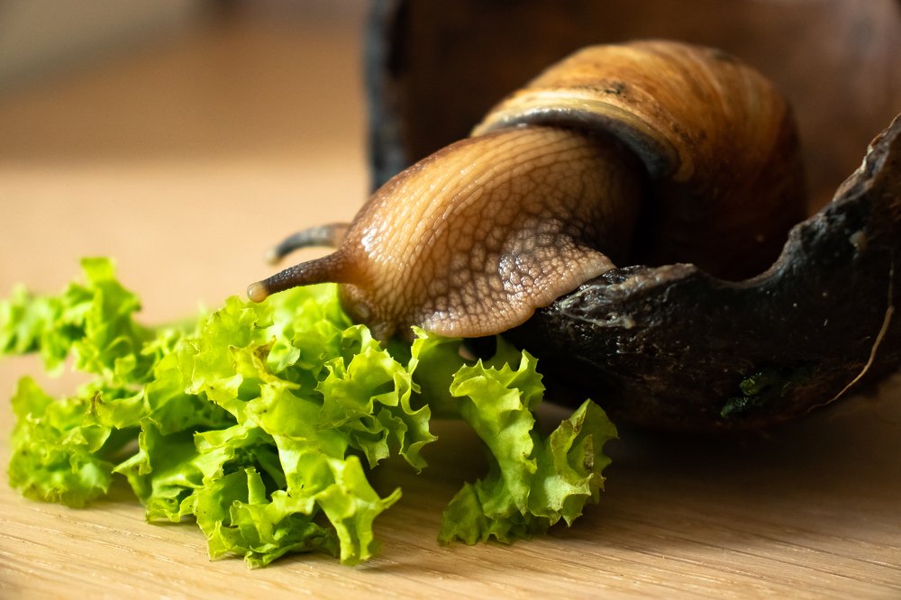 Photograph by Виктория Козинец