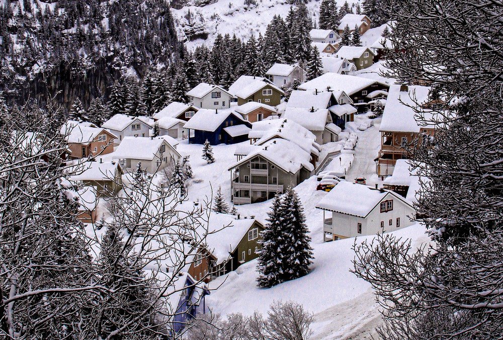 Photograph by Владимир Гречанинов