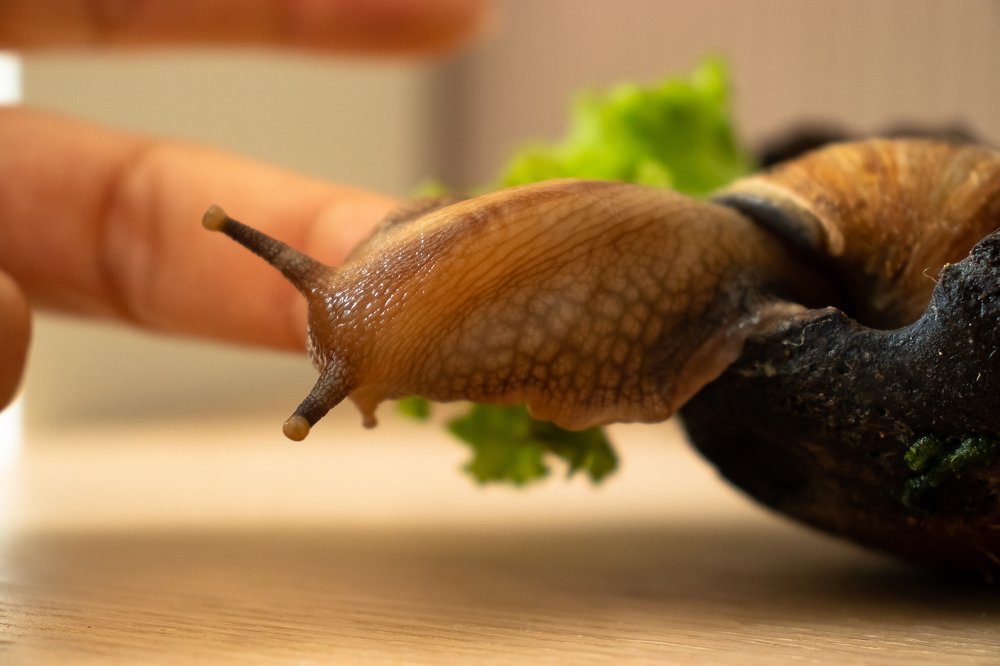 Photograph by Виктория Козинец