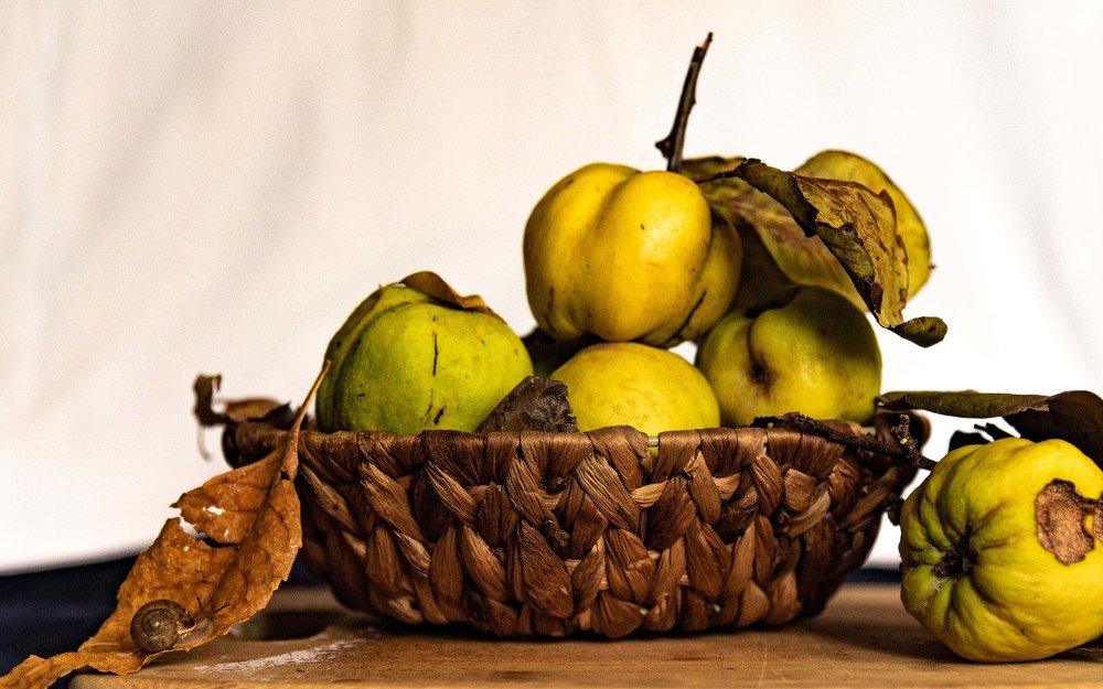 Photograph by AlyaLeta