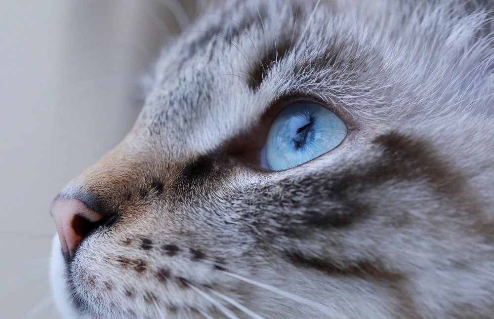 Photograph by SEITUMER CURLU