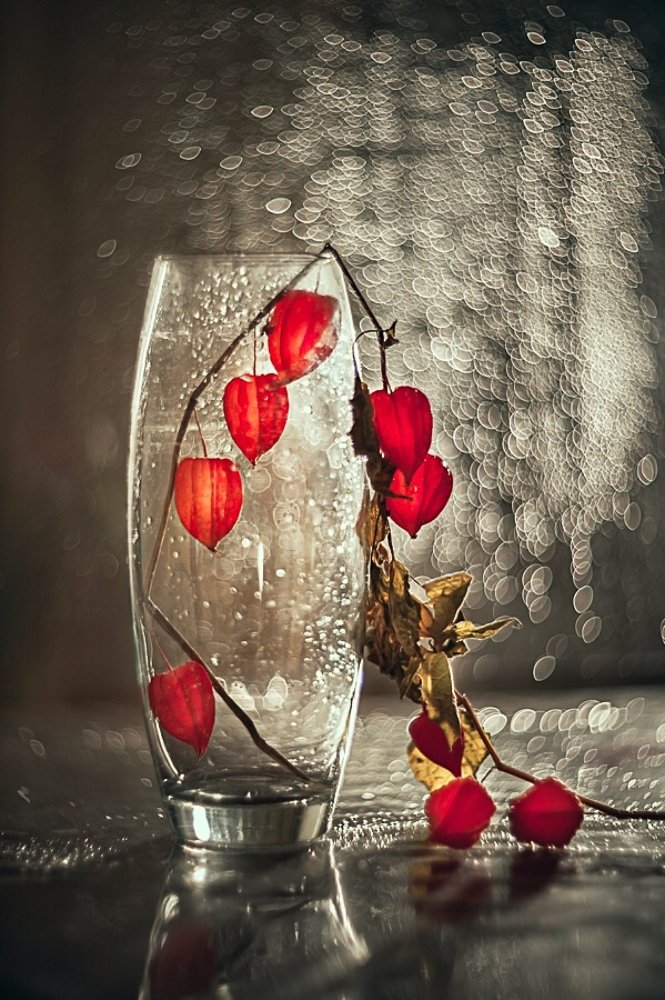 Photograph by Владимир Жуков