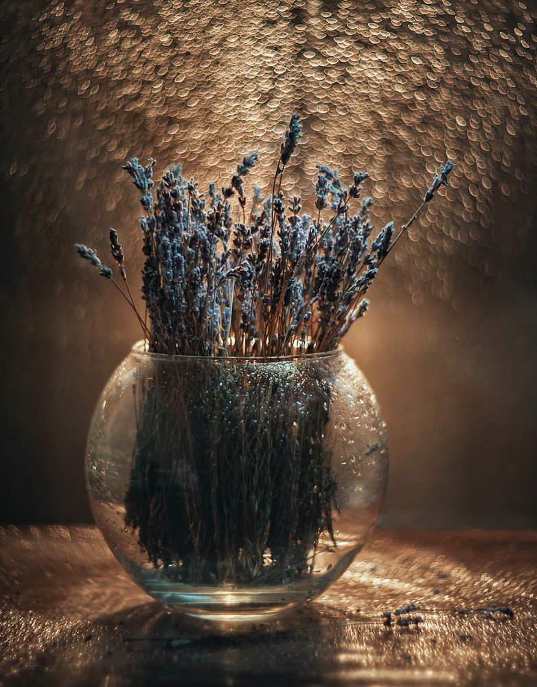 Photograph by Владимир Жуков