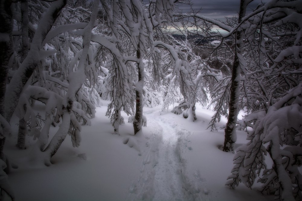 Photograph by Dino Sirica