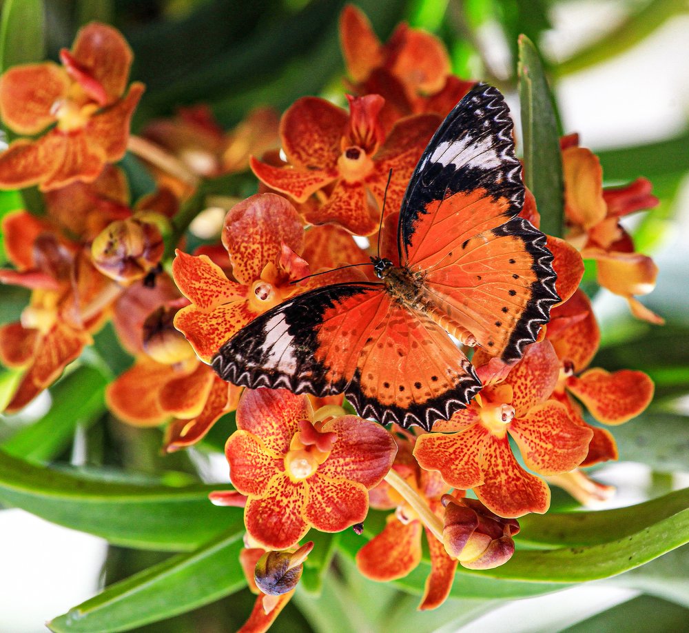 Photograph by Сергей Шишмарин