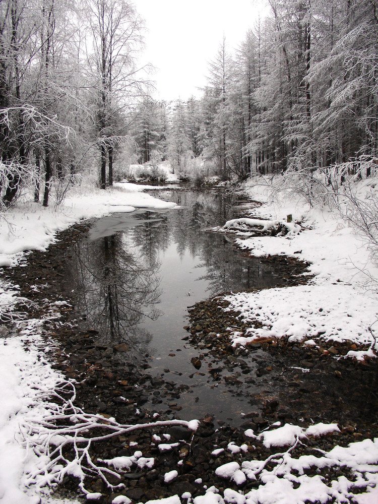 Photograph by Елена Осколкова