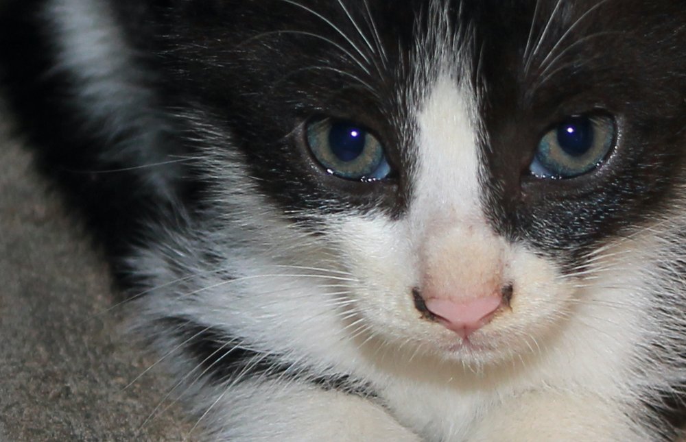 Photograph by Bhavana Sivayokan