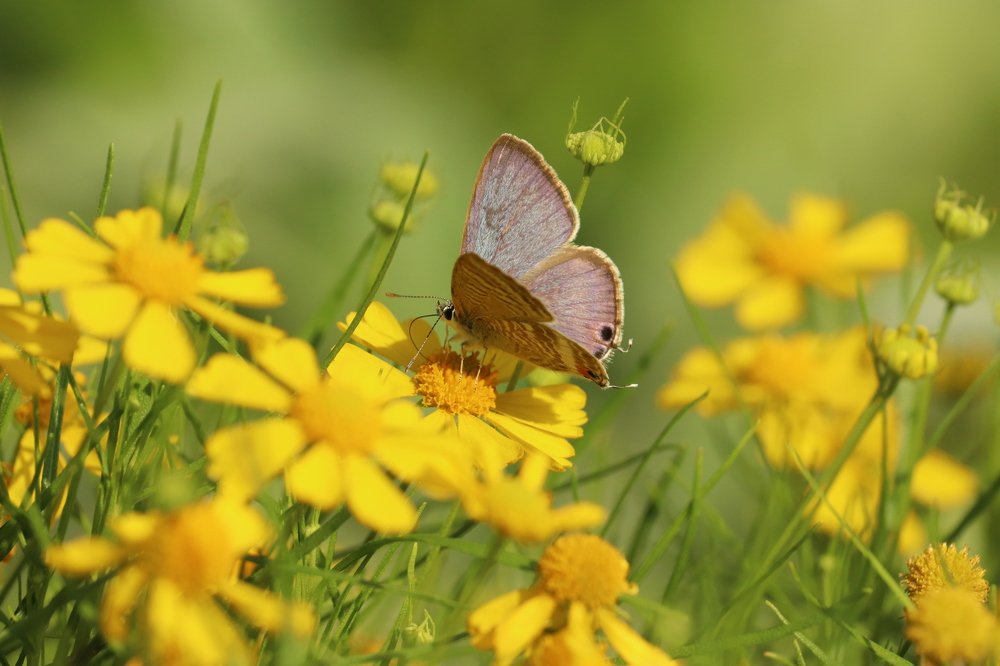 Photograph by Se Lena