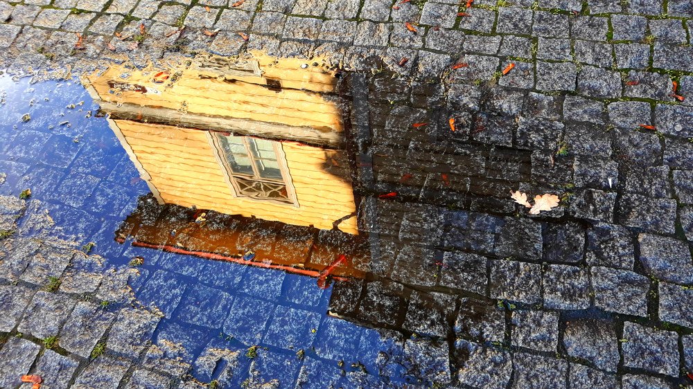 Photograph by Zinaida Nesselmann