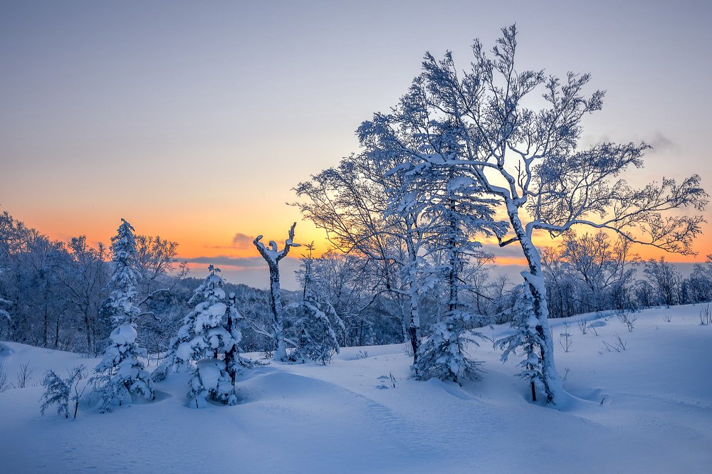 Дирижер заката