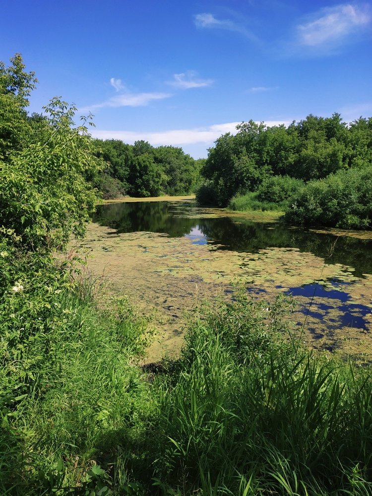Photograph by Наталья Медведева
