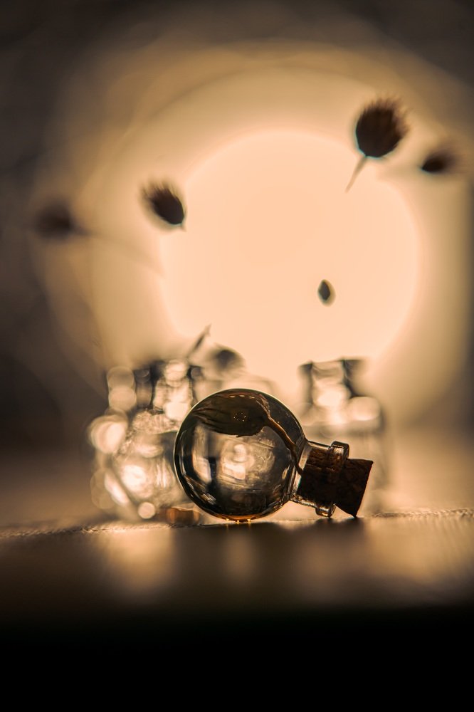 Photograph by Марина Беликова