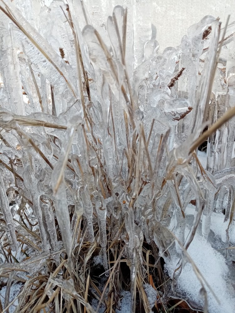 Photograph by Александр Шевченко