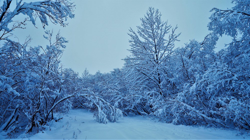 Photograph by Евгений Владимиров