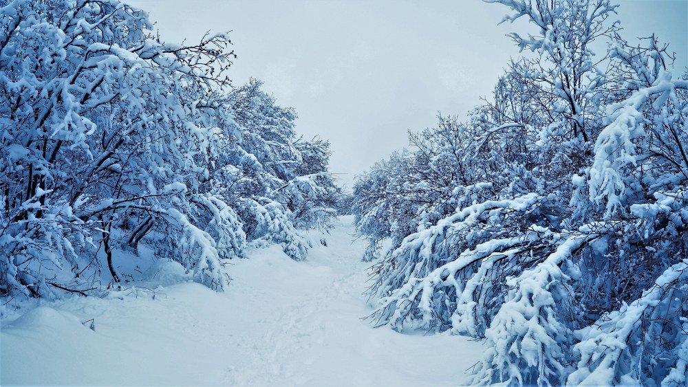 Photograph by Евгений Владимиров