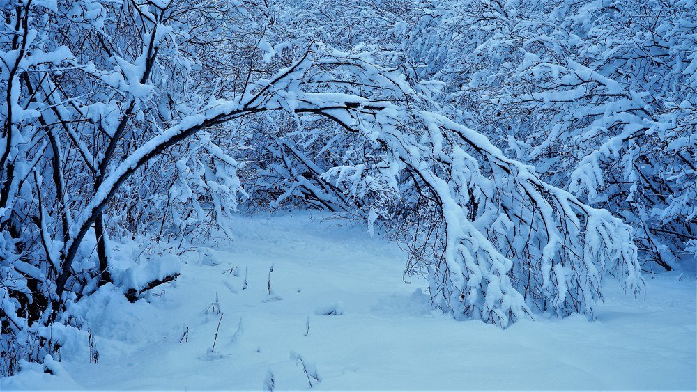 Photograph by Евгений Владимиров