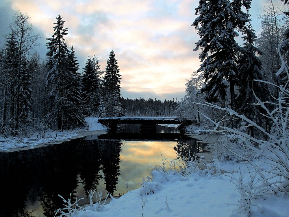 Photograph by Сергей Афанасьев