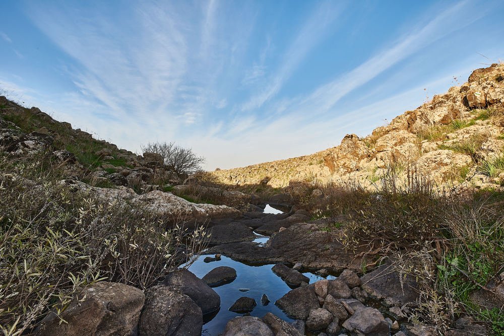 Photograph by Alexander Leshinsky