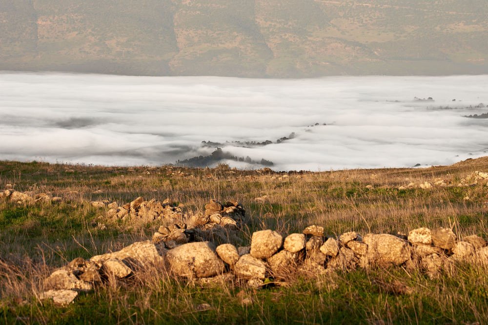 Photograph by Alexander Leshinsky