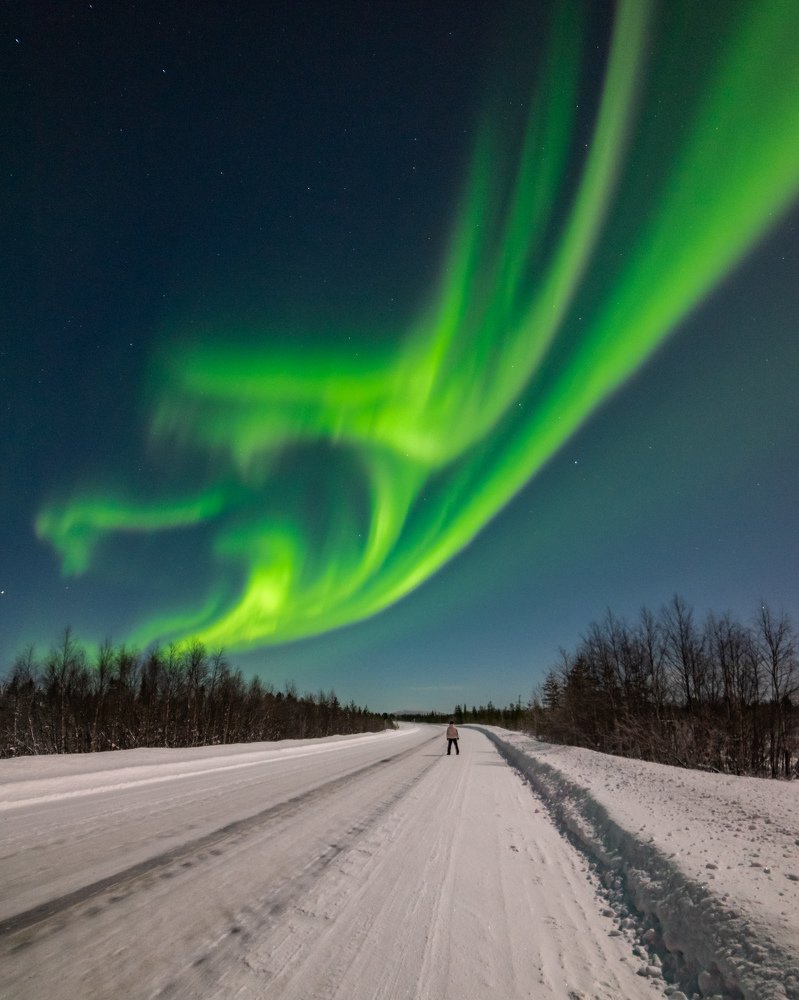 Photograph by Amir Ehrlich