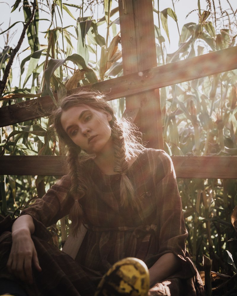 Дороти возвращается домой