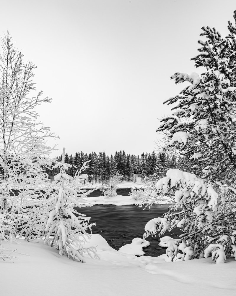 Photograph by Amir Ehrlich