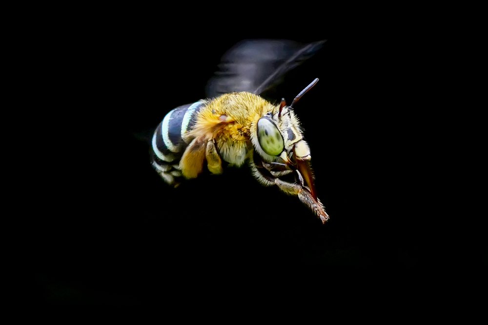 Photograph by dwi agung sulistyo