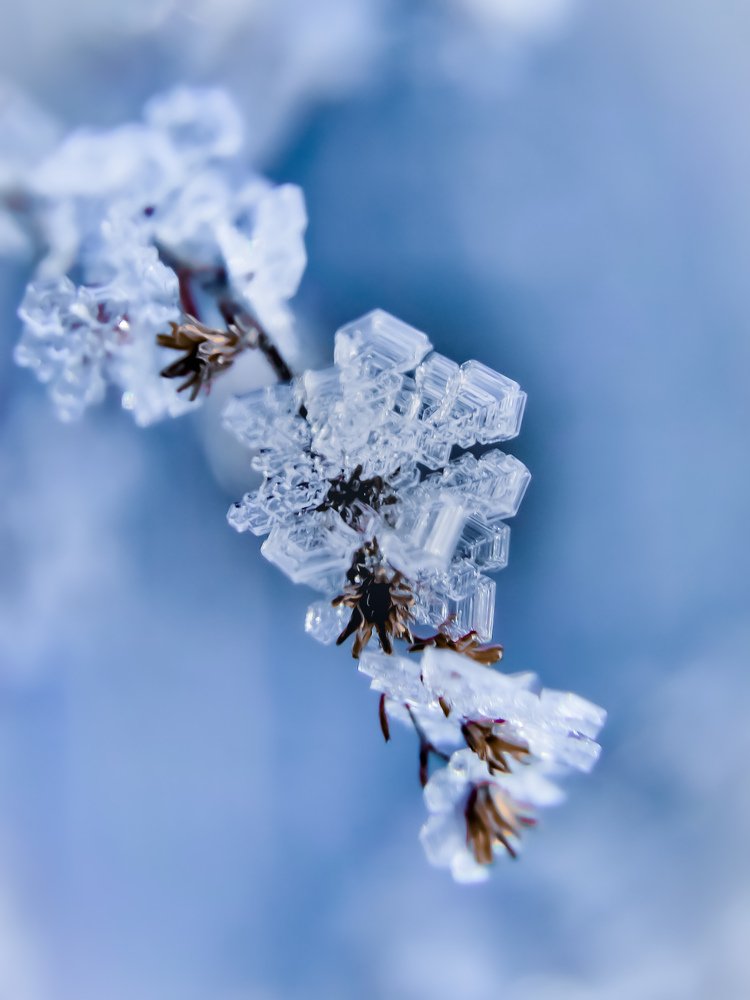 Photograph by Алеся Писнова