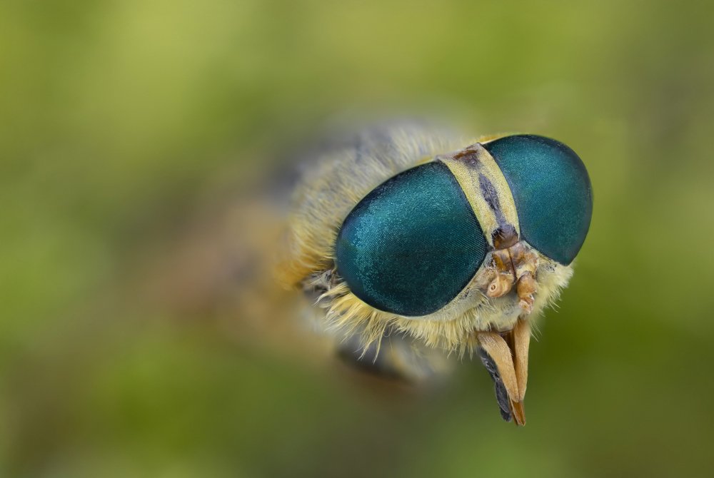 Photograph by Сергей Романченко