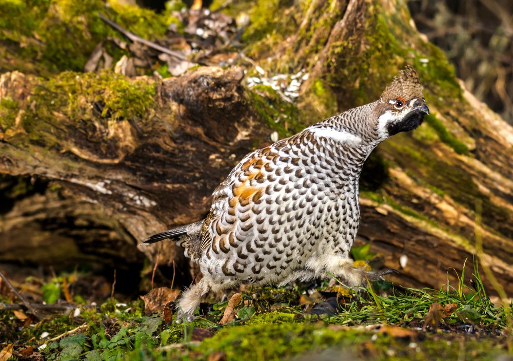 Photograph by Александр