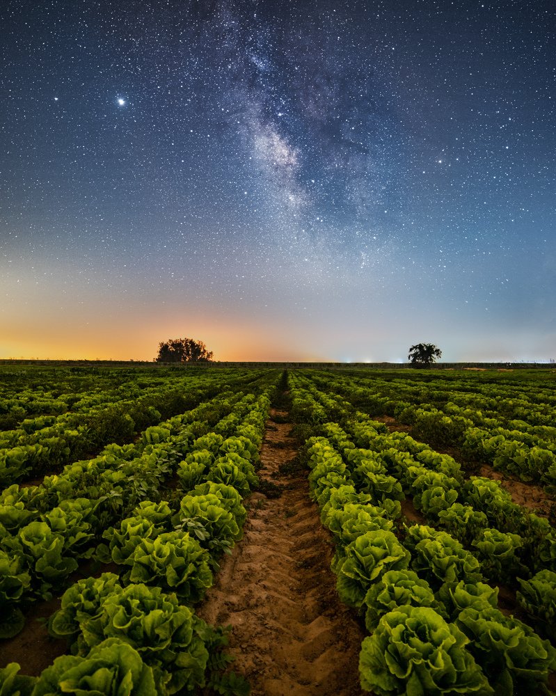 Photograph by Amir Ehrlich