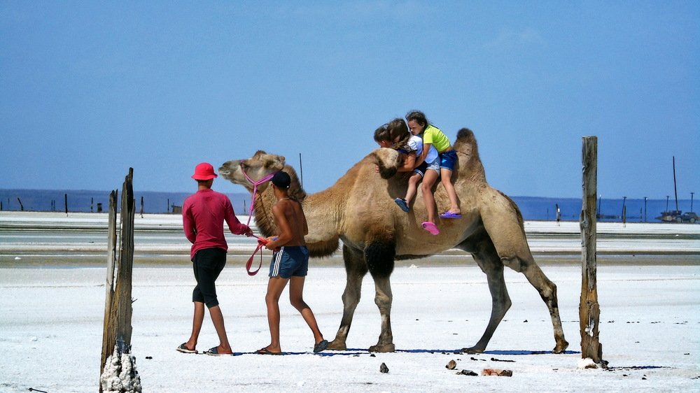 Вместе веселей