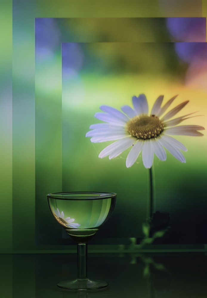 Photograph by Елена Рубинская