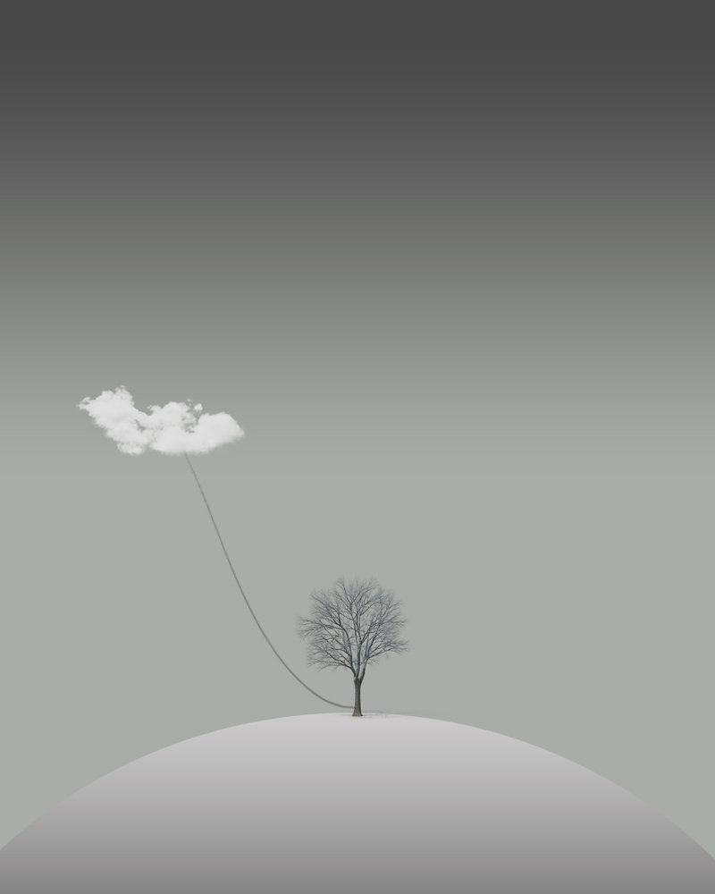 Photograph by iman hafezkhan