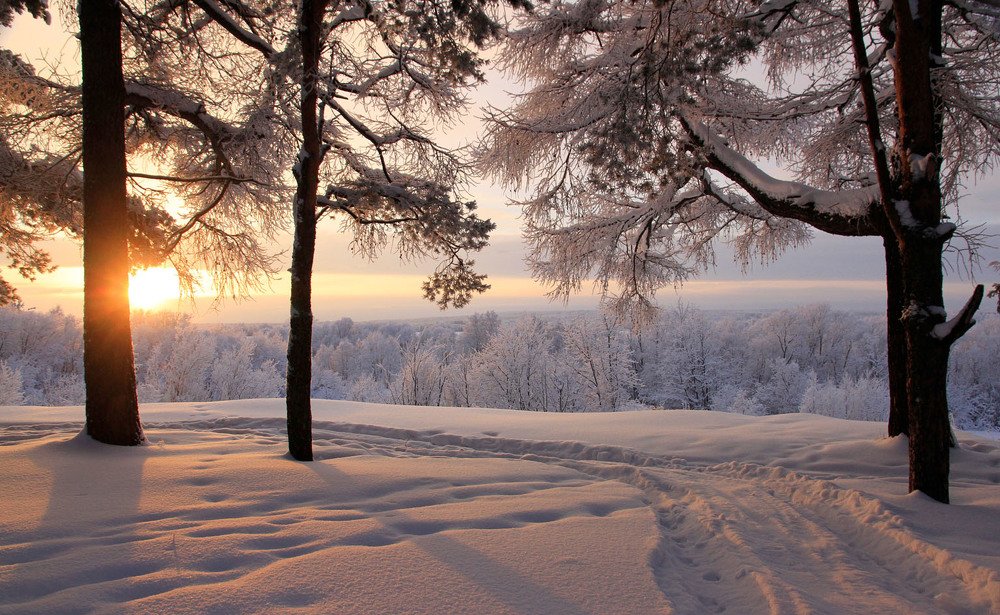 Немного солнца в январе