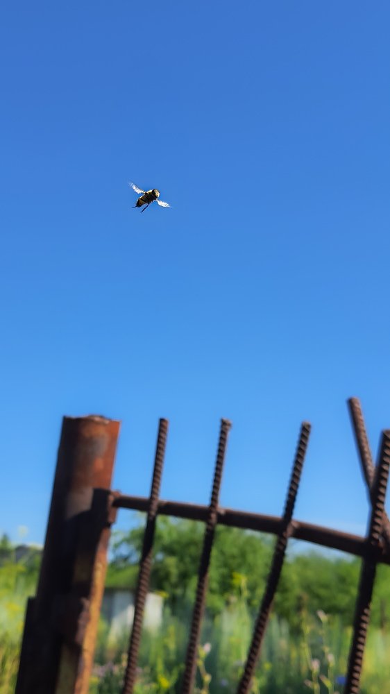 Photograph by Ринат Халитов