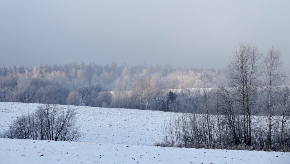 Photograph by Екатерина Лесная