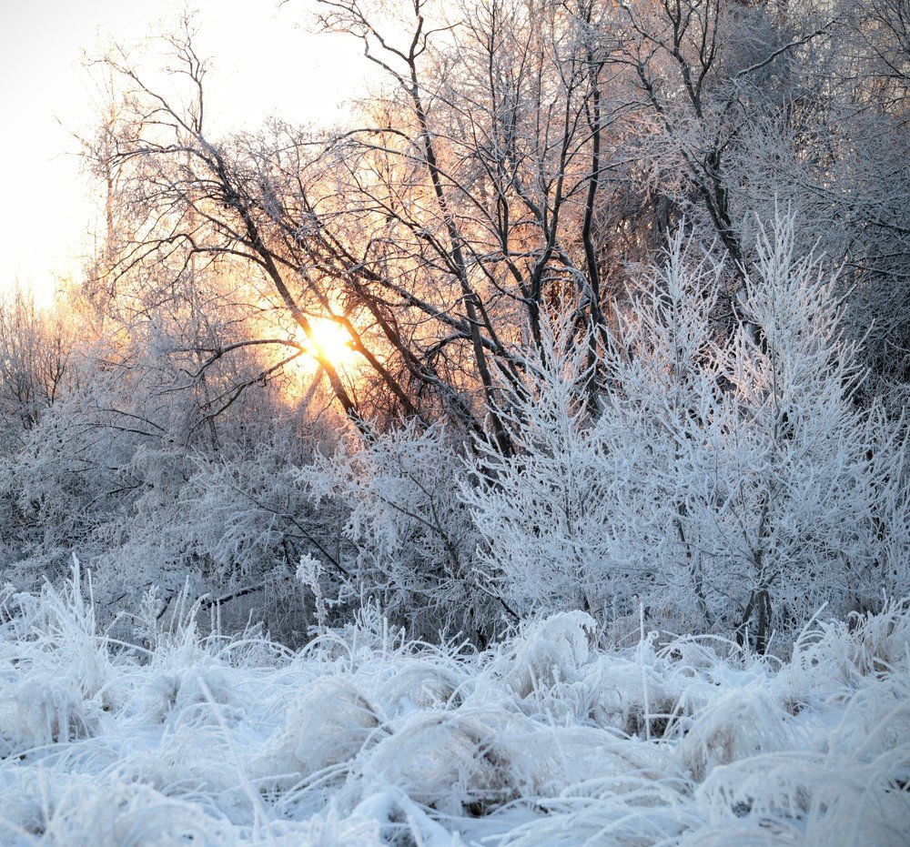 Photograph by Екатерина Лесная