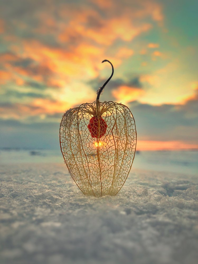 Photograph by Валентина Старикова