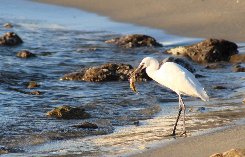 Photograph by CEM OĞUZ VUR